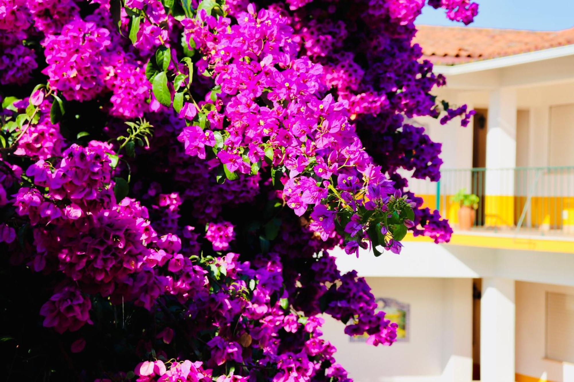 Costa Brava Alojamento Benedita Exterior photo